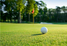 BTN-Golf (3)Crop