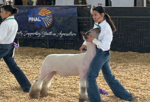 CG-FFAAgriSciencePinalCountyJuniorLivestockFair20250314 (9)