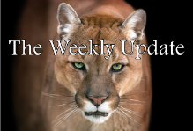 CGUHS Newsletter