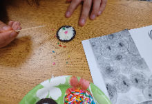 CG-ScienceBiologyBradyStacy20221207 (2)