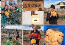 PC-GardenHarvest20250214 (1)
