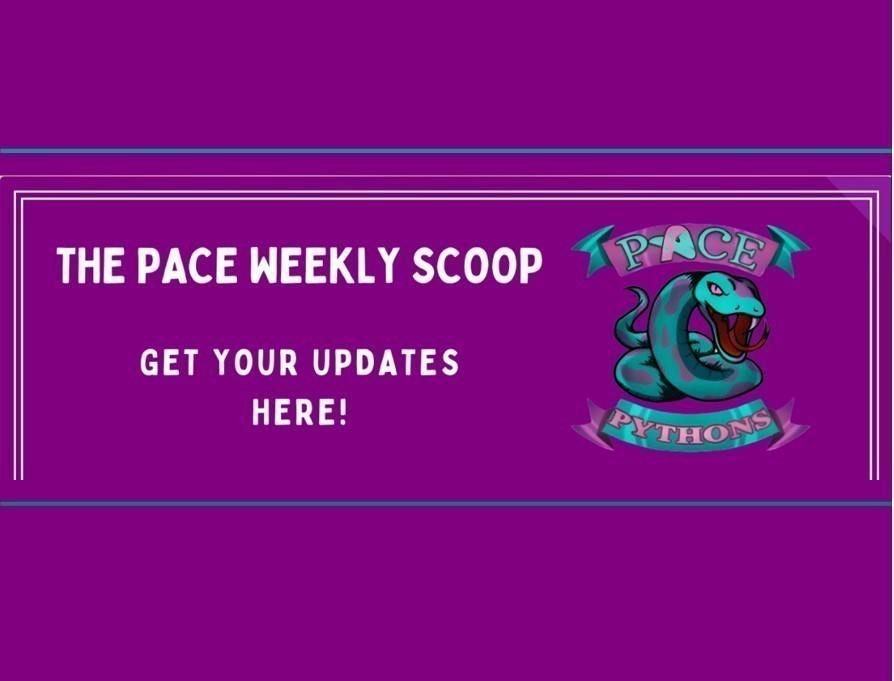 HP-NewsletterPACE (4)
