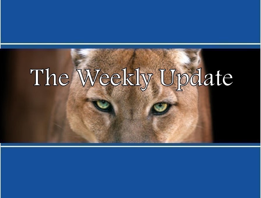 HP-NewsletterTheWeeklyUpdate (2)
